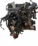Motor Für Nissan Navara NP300 2,5 dCi YD25DDTI 101025X00A