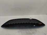 Kühlergrill für Ford Fiesta VI CB1 1,6 ECOBOOST JTJB C1BB-17B968-C Race Red