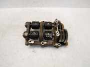 Ausgleichswelle für Nissan Navara NP300 2,3 dCi YS23E280 YS23DDT 919905524R