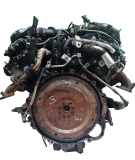 Motor für Land Rover 3,6 V8 D 4x4 368DT LR006675