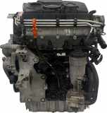 Motor Für Audi Seat Skoda VW A3 Altea Fabia Golf 1,9 TDI BLS 03G100098HX