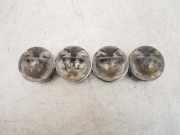 4x Kolben für Nissan Qashqai J11 1,2 DIG-T HRA2DDT HRA2 H5FT 1200000Q3E