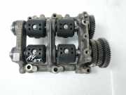 Ausgleichswelle für Nissan Navara 2,3 dCi D YS23E280 YS23DDT YS23 927605524R