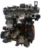 Motor Für Nissan Navara D23 2,3 dCi YS23DDT YS23 1010200Q9L