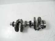 Kurbelwelle für Audi Skoda VW A3 Octavia Golf 1,0 TSI 30TFSI DLAA DLA 05CB