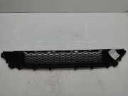Kühlergrill für Jaguar E-Pace X540 2,0 D200 Mild Hybrid AWD 204DTY AJ21D4