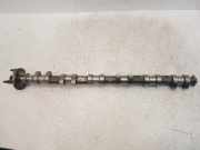 Nockenwelle für BMW 5er E39 2,2 520i M52B22 226S1 M52