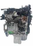Motor für Ford Transit B460 1,5 EcoBlue XXCC C15DSOX GM5Q-6006-DA 23.000km