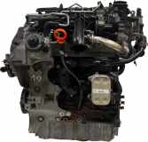 Motor Für Seat Skoda VW Altea Yeti Scirocco 2,0 TDI CFHC CFH 03L100091B