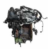 Motor für Ford Ecosport 1,0 EcoBoost M1JJ C1BG-6006-DA