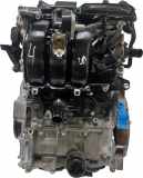 Motor Für Toyota Lexus LBX Aygo Yaris 1,5 Hybrid M15A-FXE M15A 19000F3020