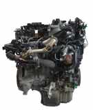Motor für Citroen Peugeot Jumpy 1,6 BlueHdi BHV BH02 DV6FDU 1613571480