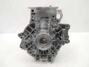 Motorblock Block für Seat Skoda VW Ibiza Roomster Polo 1,2 CGP CGPA 03D103019M