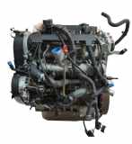 Motor für Fiat Ducato 2,3 JTD F1AE0481C F1AE 504049266