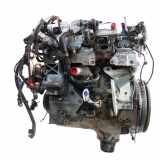 Motor für Nissan Navara NP300 D40 2,5 dCi 4WD YD25DDTI YD24 101025X00A