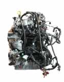 Motor für VW T6 2,0 TDI DNAB DNA 04L100039C 04L100039CX