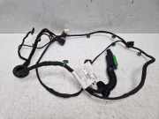 Kabelbaum Tür Verkabelung für Porsche Panamera 2,9 V6 Petrol CSZ CSZB 971971036