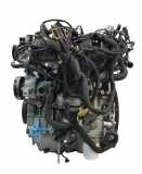 Motor für Ford Focus 2,3 EcoBoost N3DA KX7E-6006-GA