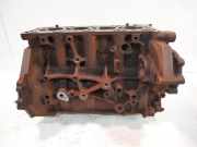 Motorblock Block für Ford Transit V363 2,0 EcoBlue YMR6 BKRA YMRA GK2Q-6015-BB