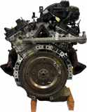 Motor Für Nissan Pathfinder III R51 4,0 V6 Benzin VQ40DE VQ40 10103EA200