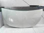 Motorhaube für Opel Vivaro B Kasten X82 1,6 R9M413 93455832