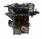 Motor für Ford Focus MK4 1,0 EcoBoost M0DC NX6G-6006-KA