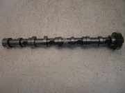 Nockenwelle Defekt f?r VW Caddy 1,6 TDi CAYE CAY 03L101