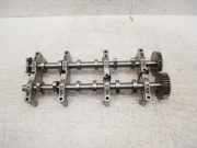 Nockenwelle für Audi A6 S6 A7 S7 Q5 SQ5 3,0 TDI DMK DMKC DMKD 059109023BT