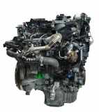 Motor für Citroen Jumpy 1,6 BlueHDi BHX DV6FCU BH01 1614090680 1614090780