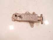 Abgaskühler für Jeep Wrangler IV JL 2,0 T-GDi Benzin EC1 500516720