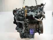 Motor für Chevrolet Captiva 2,0 D LLW 96859450