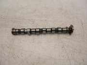 Nockenwelle für Fiat 500 Panda 1,0 Mild 46341162 55267951