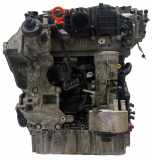 Motor für VW Audi Passat B6 A3 2,0 TDI 4motion CBAB CBA 03L100090D 03L100090DX