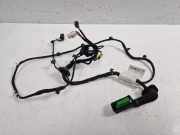 Kabelbaum Türverkabelung für Porsche Panamera 2,9 V6 Petrol CSZ CSZB 971971733