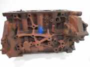 Motorblock für Ford Transit Tourneo V362 V363 2,0 EcoBlue YNF6 GK2Q-6015-AC