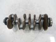 Kurbelwelle für Skoda VW Audi Kodiaq Passat Q3 2,0 TDI 35 DFGA DFG 04L ES