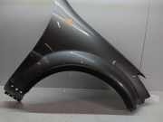 Kotflügel Seitenwand grau rechts für Ssangyong Rexton EX D20DTR OM671.960