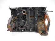 Motorblock Block für Renault Fiat Nissan 2,0 dCi M9R710 M9R 1724190938