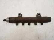 Rail-Rohr für Ford Transit 2,4 TDCi PHFA