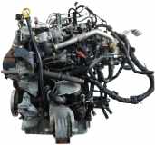 Motor für VW Transporter T6 2,0 TDI DNAA DNA 04L100039C 04L100039CX 48.000km
