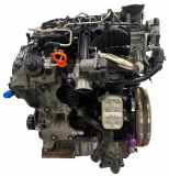 Motor für Skoda VW Audi Superb Passat A3 2,0 TDI CFFB CFF 03L100034 03L100034X