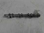 Nockenwelle für Dodge Jeep Dakota Nitro Cherokee 3,7 V6 EKG