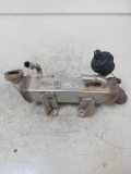 Abgaskühler für Opel Renault Movano Master 2,3 CDTI M9T870 M9T LWL 8200910446