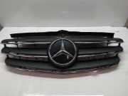K?hlergrill Gitter vorne f?r Mercedes Vito W447 654.920 OM654 A4478850236