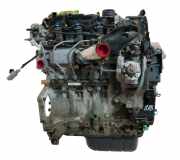 Motor für Ford Transit 1,5 EcoBlue XXCC 2016367 GM5Q-6006-AA