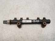 Rail-Rohr f?r Ford Transit V408 1,6 TDCi TZGA 9685297580