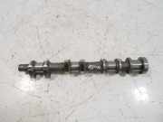 Nockenwelle für Toyota Aygo 1,0 Benzin 1KR 1KR-FE FW4 KR2