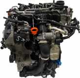 Motor Für Audi Seat Skoda VW A3 Ocatvia 1,6 TDI CAYC CAY 03L100036K