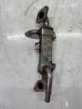 Abgaskühler für Seat VW Ford Alhambra Sharan Galaxy 1,9 TDI AUY 038131512L