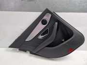 Türverkleidung für Mercedes C Klasse C300 AMG W205 M264.920 264.920 JC2450844